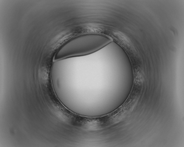 X0000112970456200909101657