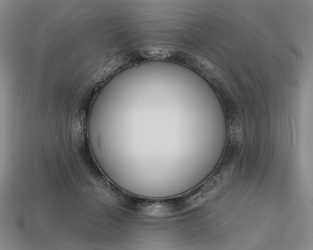 X0000112970460200909101657