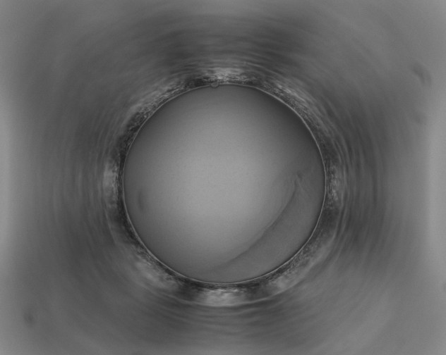 X0000112970461200909101657