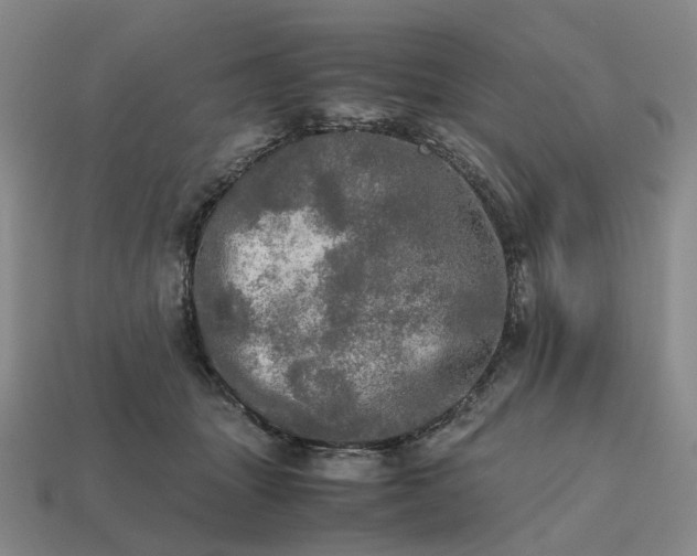 X0000112970463200909101657