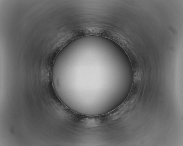 X0000112970464200909101657