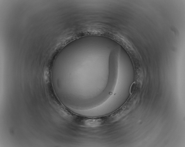 X0000112970465200909101657