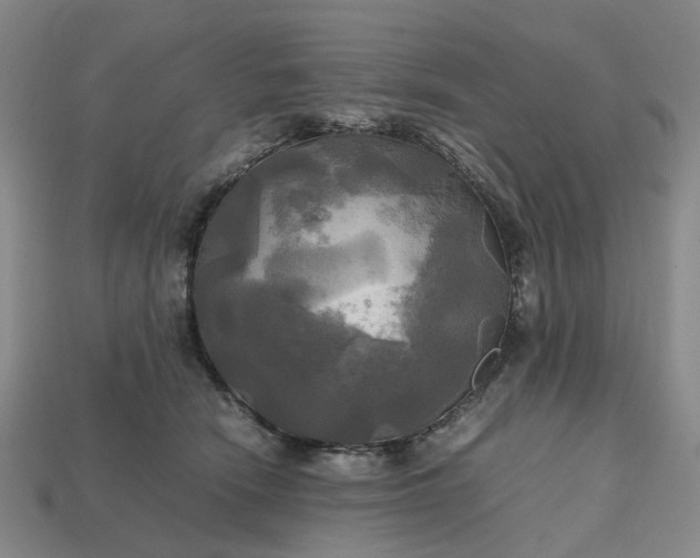 X0000112970466200909101657