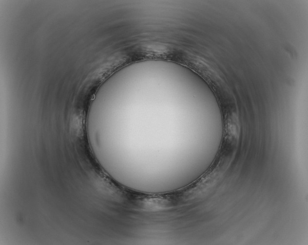 X0000112970468200909101657