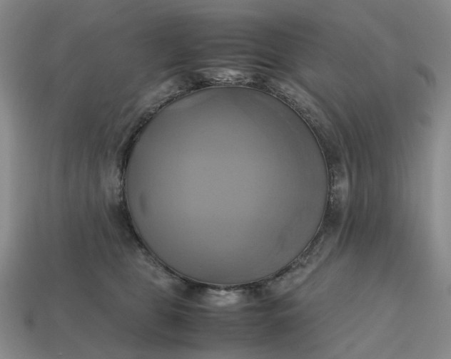 X0000112970469200909101657