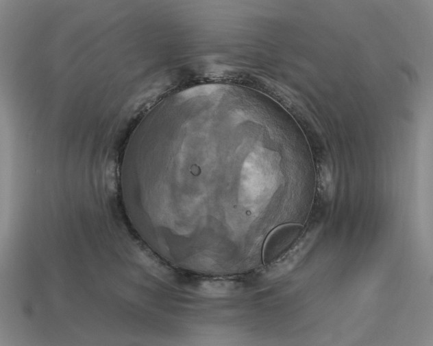 X0000112970470200909101657