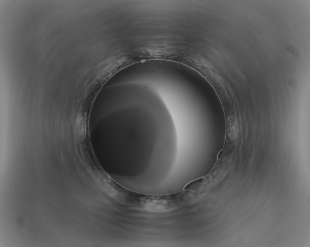 X0000112970471200909101657