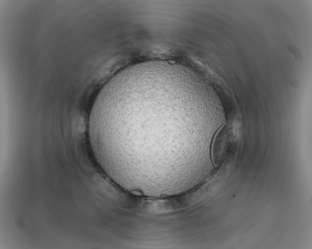 X0000112970472200909101657