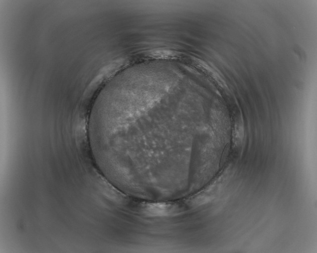 X0000112970473200909101657