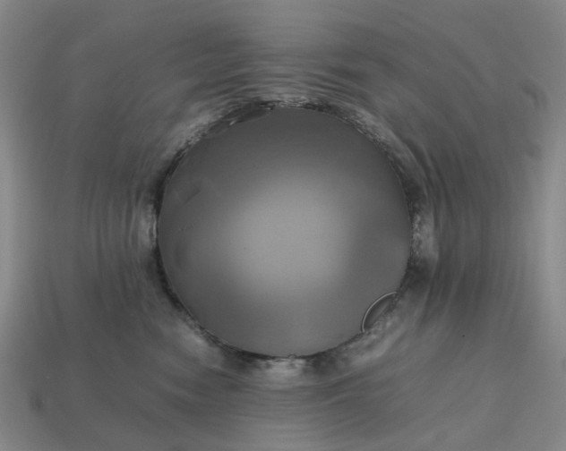 X0000112970474200909101657