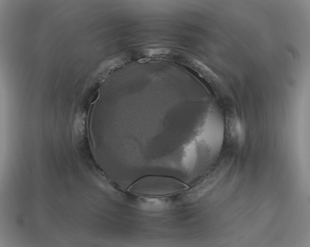 X0000112970475200909101657