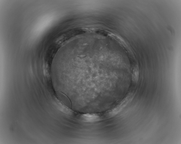 X0000112970477200909101657