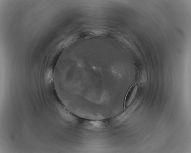 X0000112970478200909101657