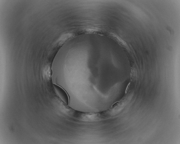 X0000112970479200909101657