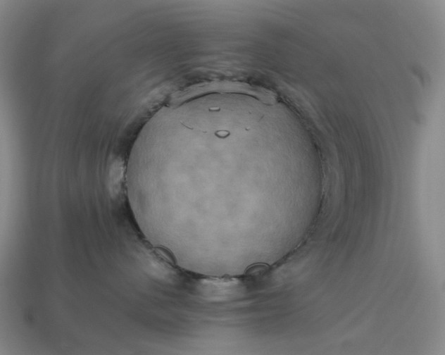 X0000112970480200909101657