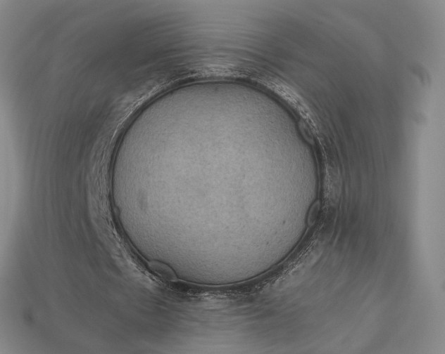 X0000112970481200909101656