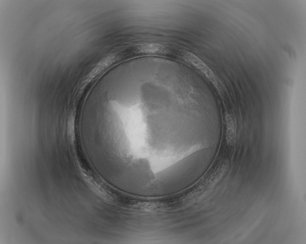 X0000112970482200909101656