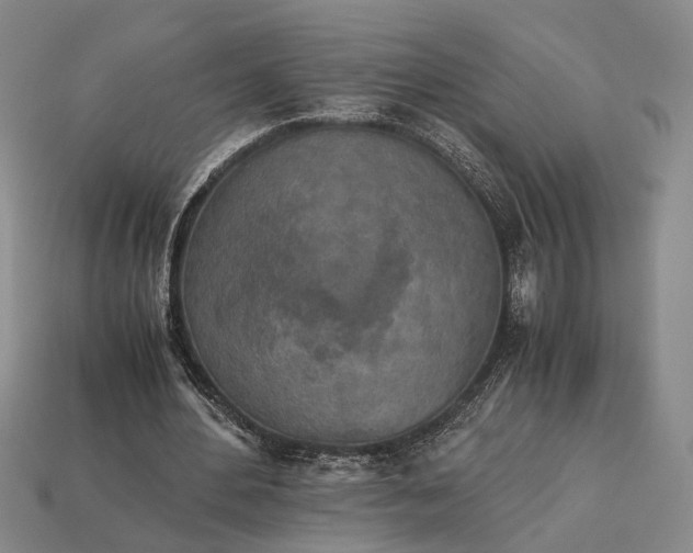 X0000112970484200909101656