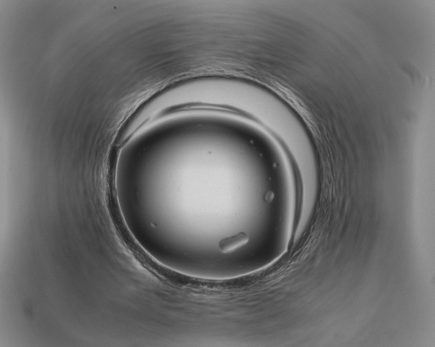 X0000112970485200909101656