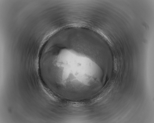 X0000112970486200909101656