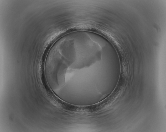 X0000112970487200909101656