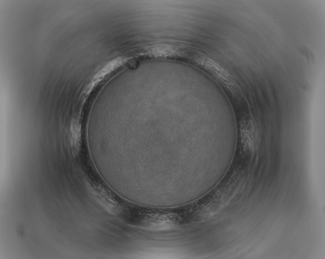 X0000112970488200909101656