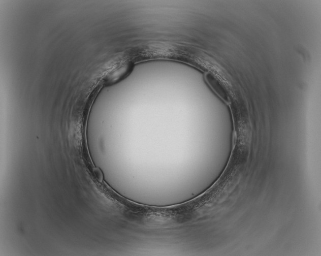 X0000112970489200909101656