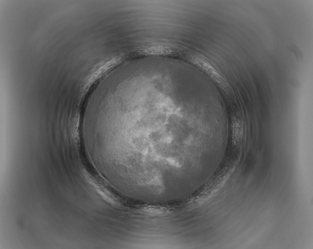 X0000112970490200909101656