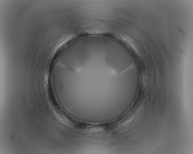 X0000112970491200909101656