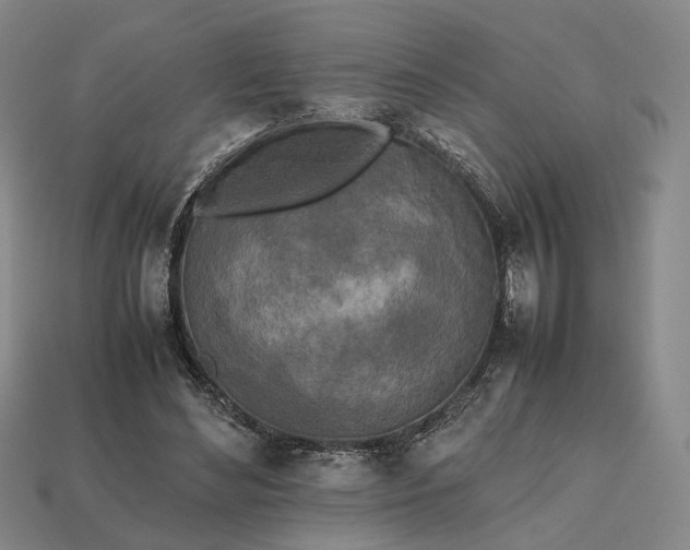 X0000112970492200909101656