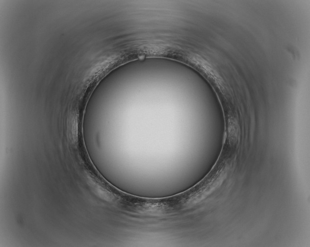 X0000112970493200909101656