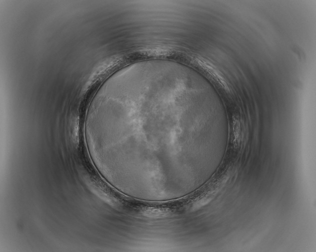 X0000112970494200909101656