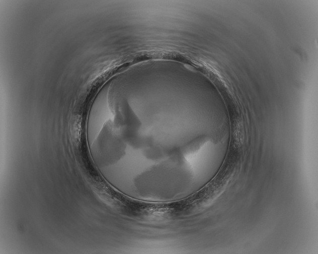 X0000112970495200909101656