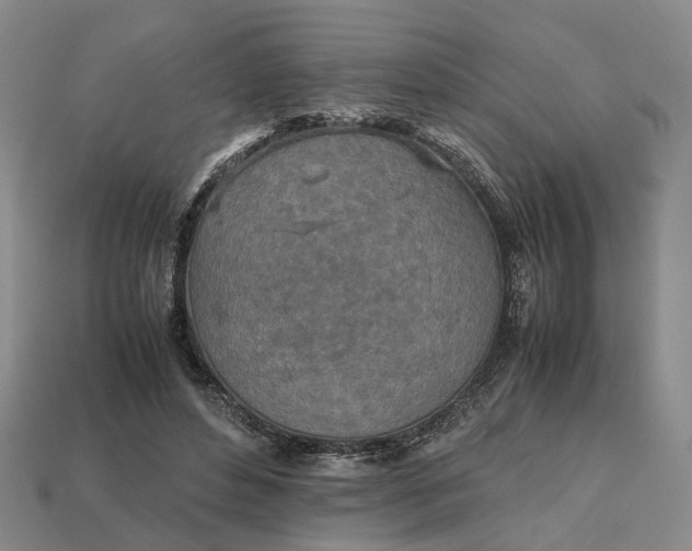 X0000112970496200909101656