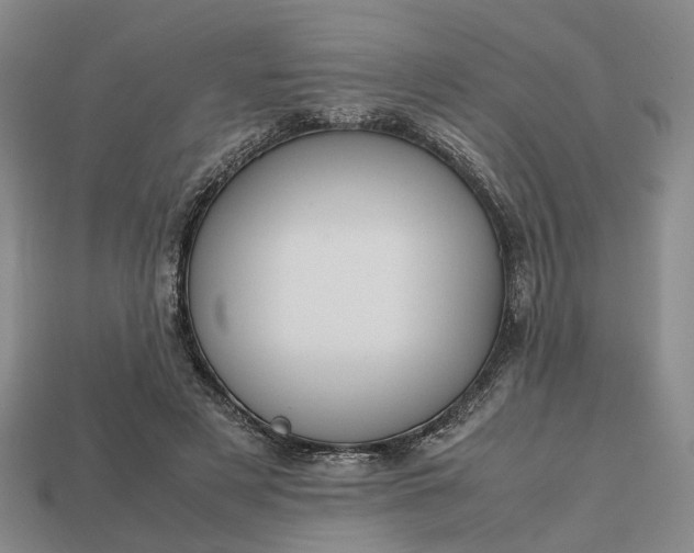 X0000112970497200909101656