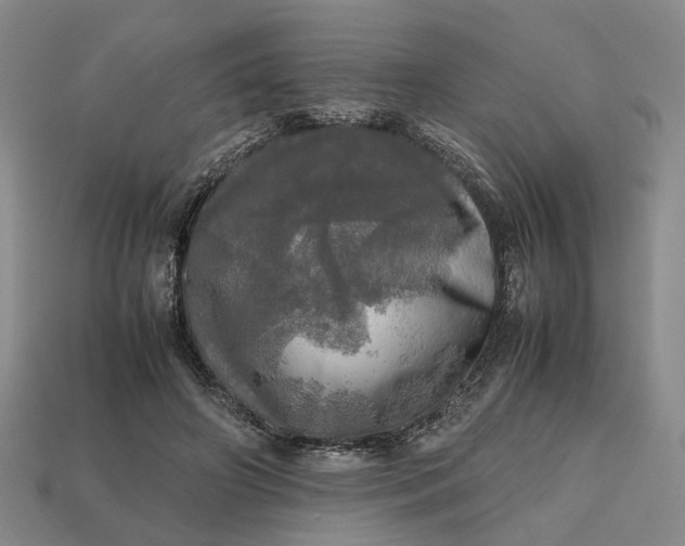 X0000112970498200909101656