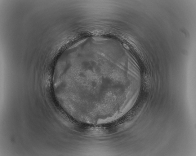 X0000112970499200909101656