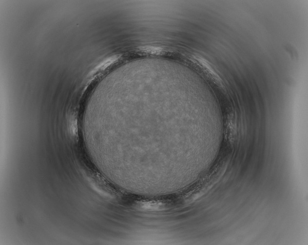 X0000112970500200909101656