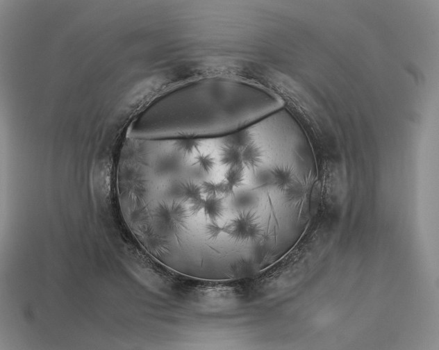 X0000112970501200909101656