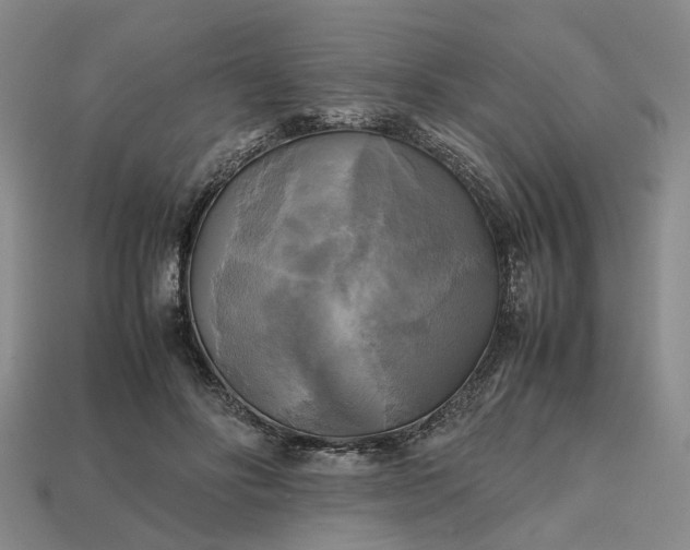 X0000112970502200909101656