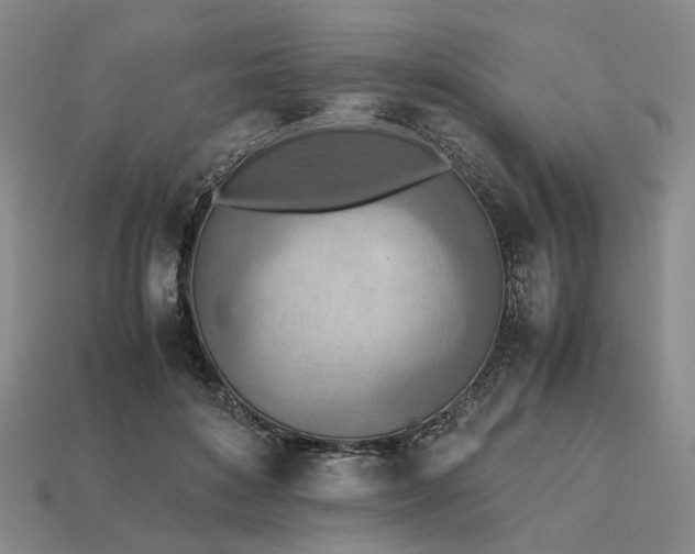 X0000112970504200909101656