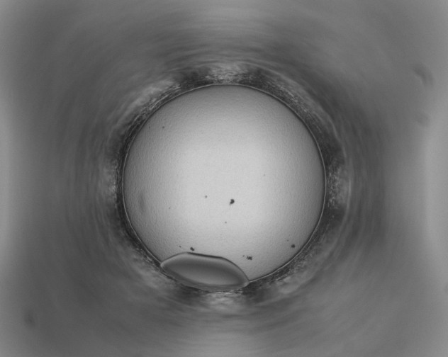 X0000112970505200909101656