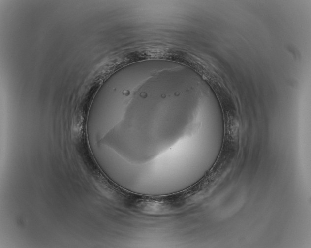 X0000112970507200909101656