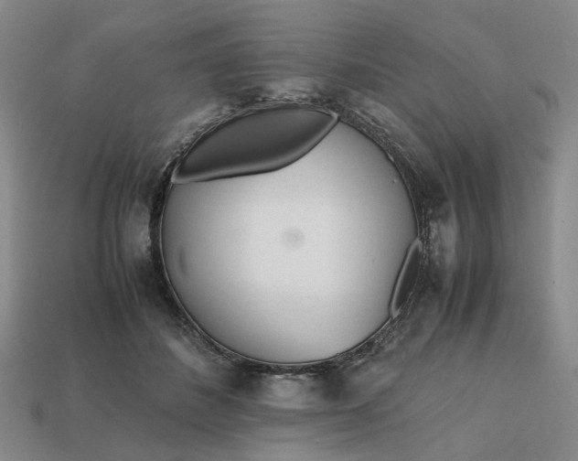 X0000112970508200909101656