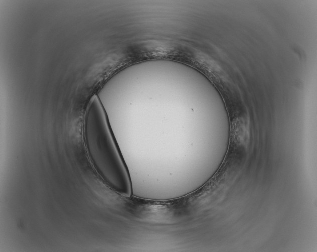 X0000112970509200909101656