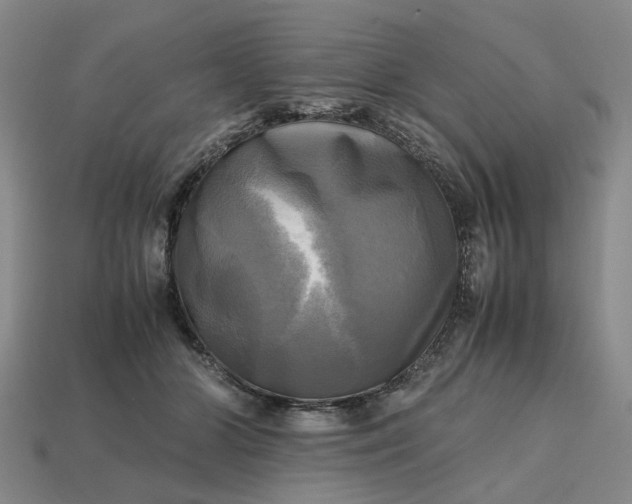 X0000112970510200909101656