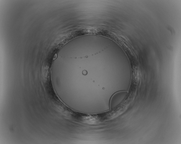 X0000112970511200909101656