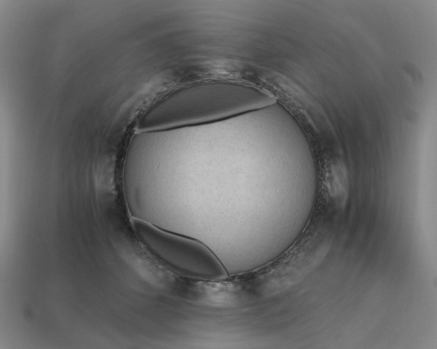 X0000112970512200909101656