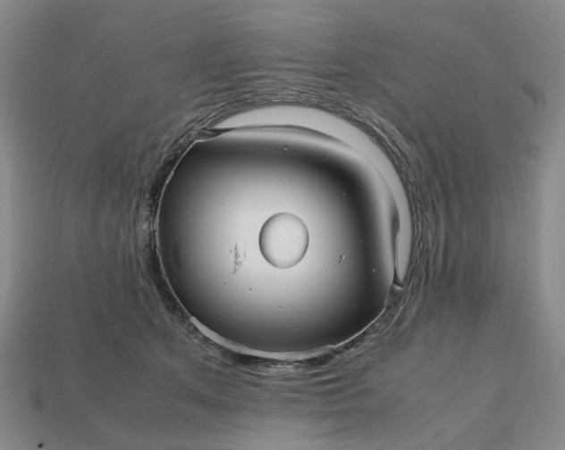 X0000112970513200909101656