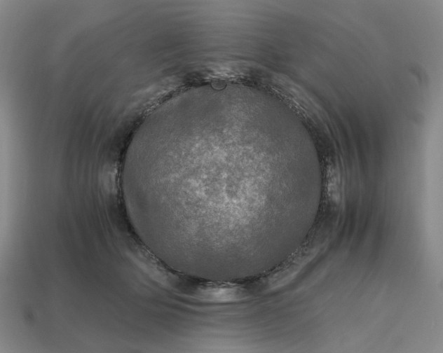 X0000112970514200909101656